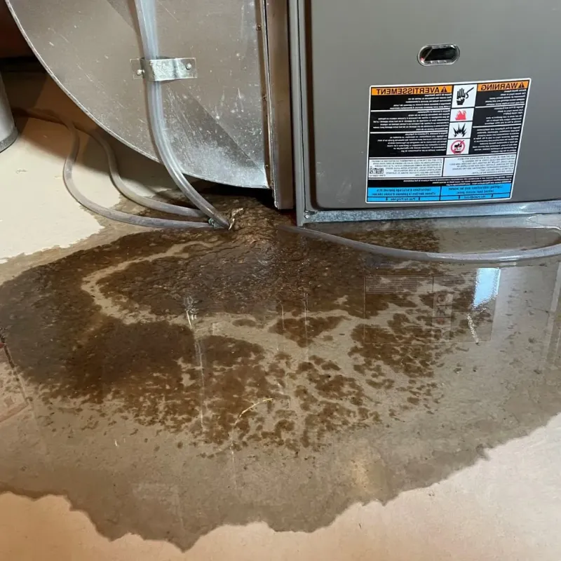 Pipe Burst and Leak Restoration in Santa Barbara County, CA