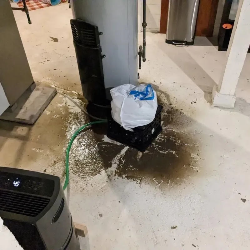 Sewage Backup Cleanup Service in Santa Barbara County, CA
